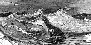 Flaskepost, illustrasjon fra "kpt. Grants barn"